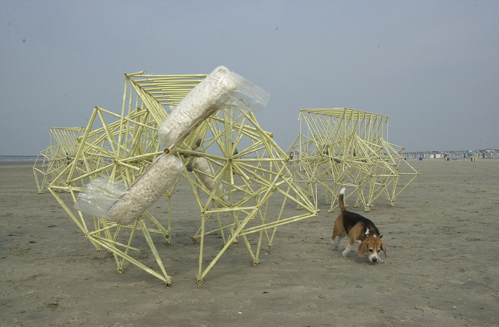 1646px-2000_Strandbeesten_van_kunstenaar_Theo_Jansen_IJmuiderslag