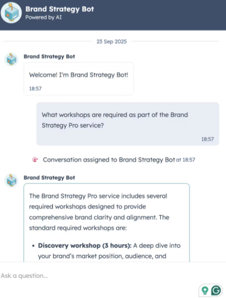 Conversation window with an AI brand strategy bot.
