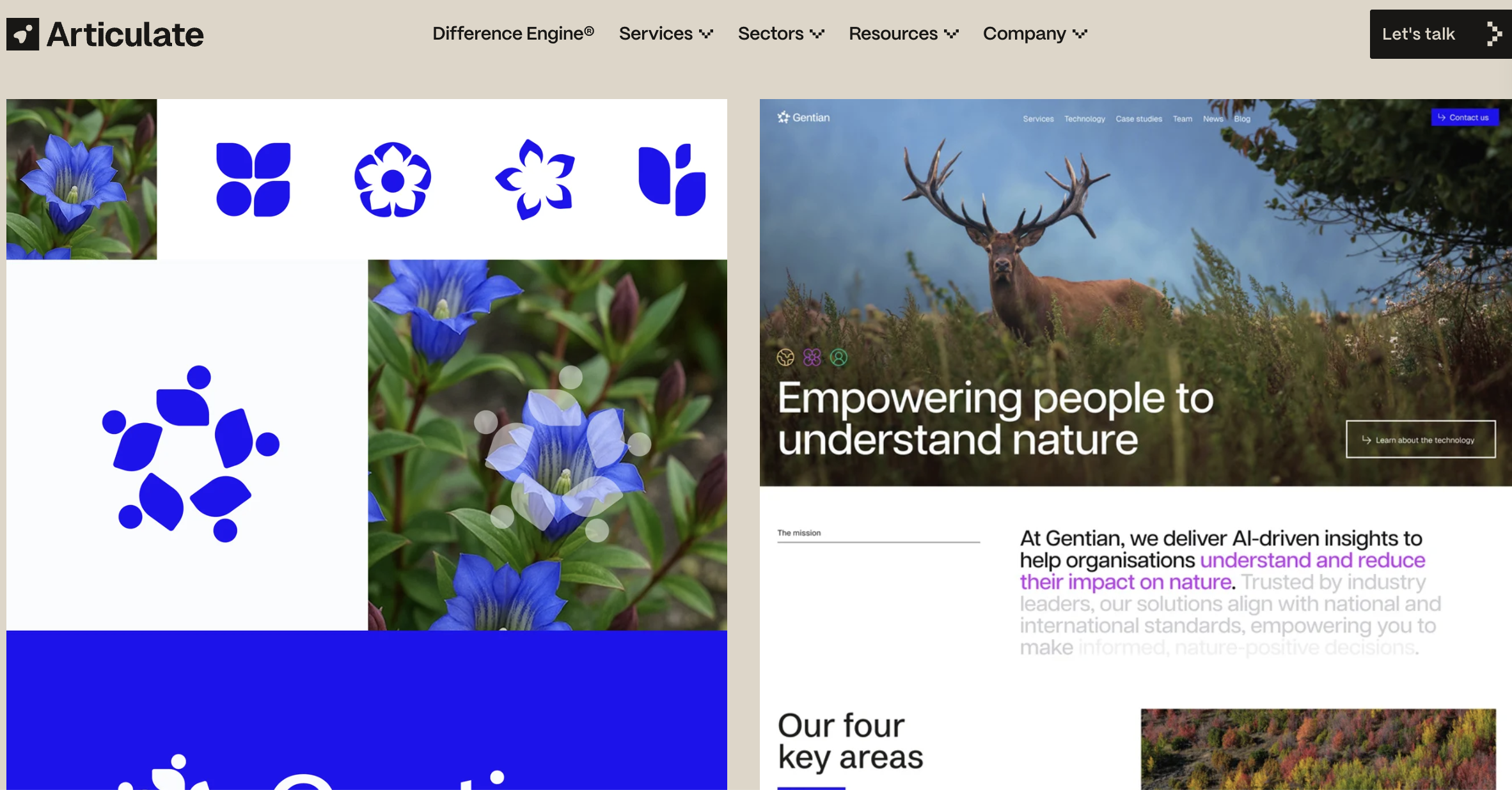 Gentian brand and website mood boards.